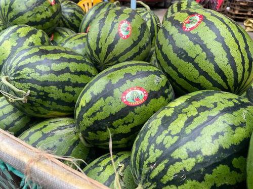 恶性许昌d吃瓜,吃瓜群众视角下的真相追踪