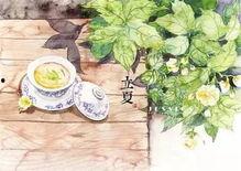 立夏吃瓜的意思,探寻传统习俗中的美食智慧